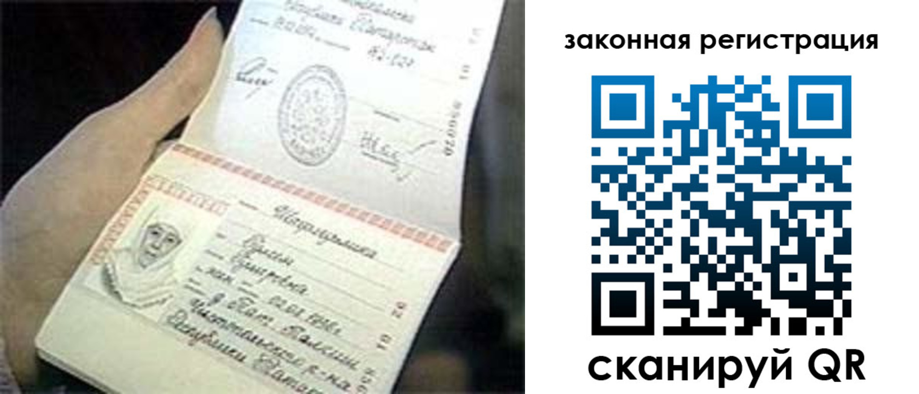 прописка для школы в Далматово